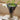 Two-Toned Tulipiere Vase