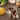 Oro Salad Server - Set of 2