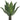 23" Agave Stem - UV Treated