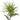30" Spider Mum Stem - Green