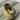 Glazed Wall Mount Bud Vase [VINTAGE]