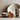 Acadia Dishware - Oyster