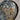 Fossil Oval Dish Ammonite - Brown