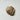 Petrified Wood Object - Sand