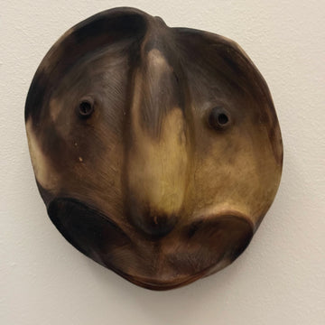 Patagonia Masks