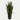 Artifical Snake Plant