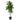 Faux Dracaena Plant